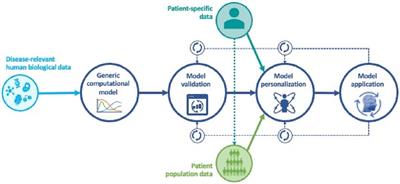 Toward mechanistic medical digital twins: some use cases in immunology